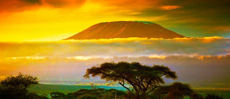 Qué ver en Tanzania Kilimanjaro