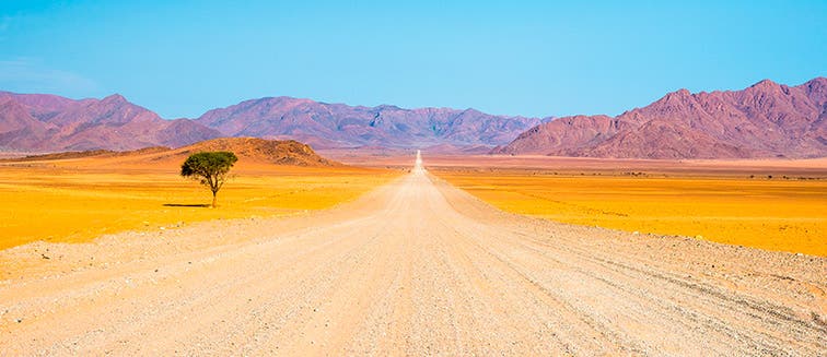 Qué ver en Namibia Parque nacional de Namib-Naukluft 