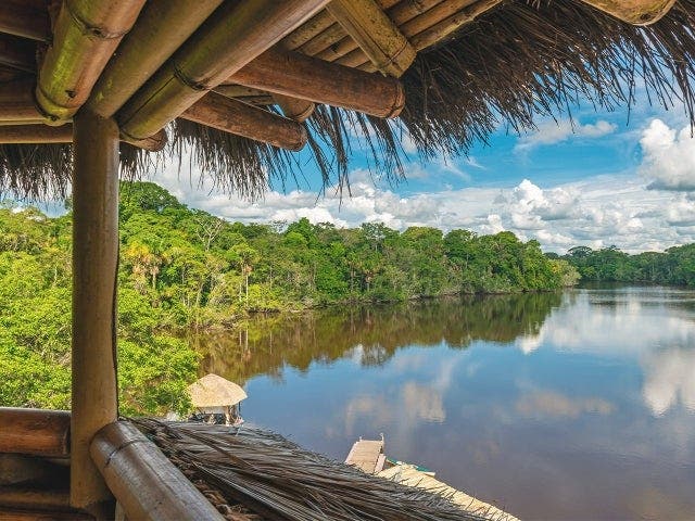 Stay in a jungle lodge surrounded by lush rainforest and wildlife.