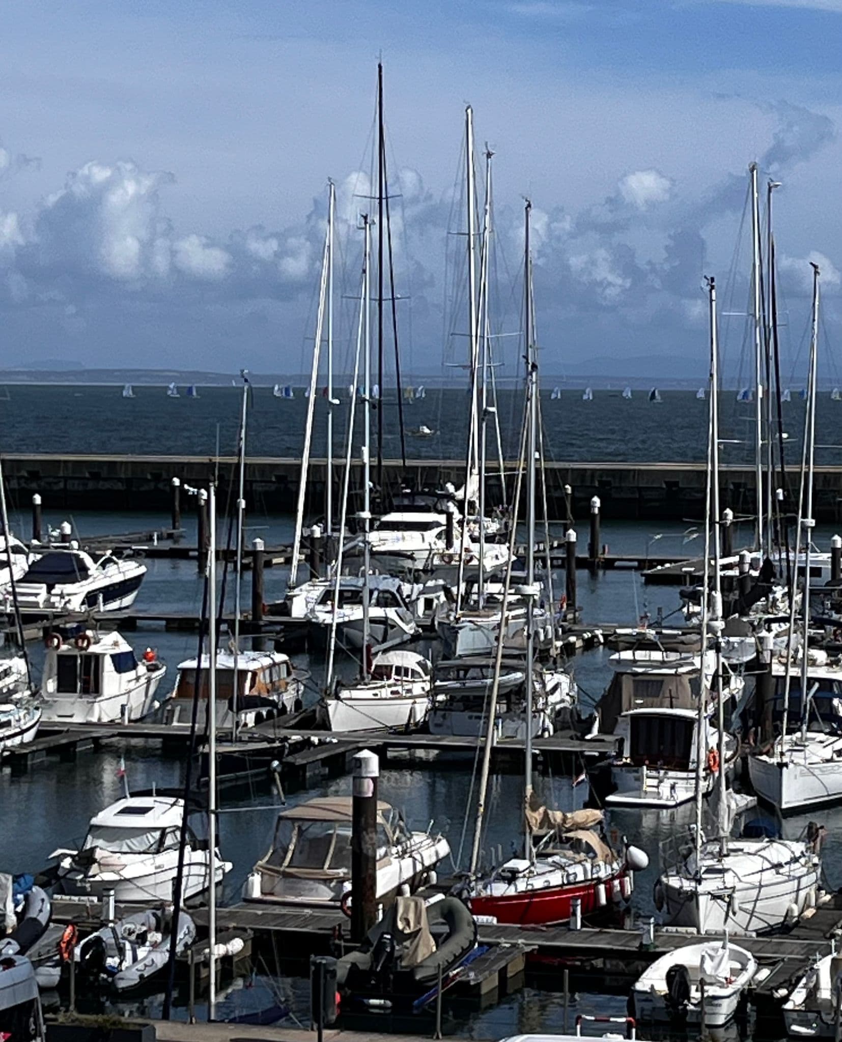 Sailboats moored in a busy marina with tall masts and small sailboats visible on the open sea beyond.