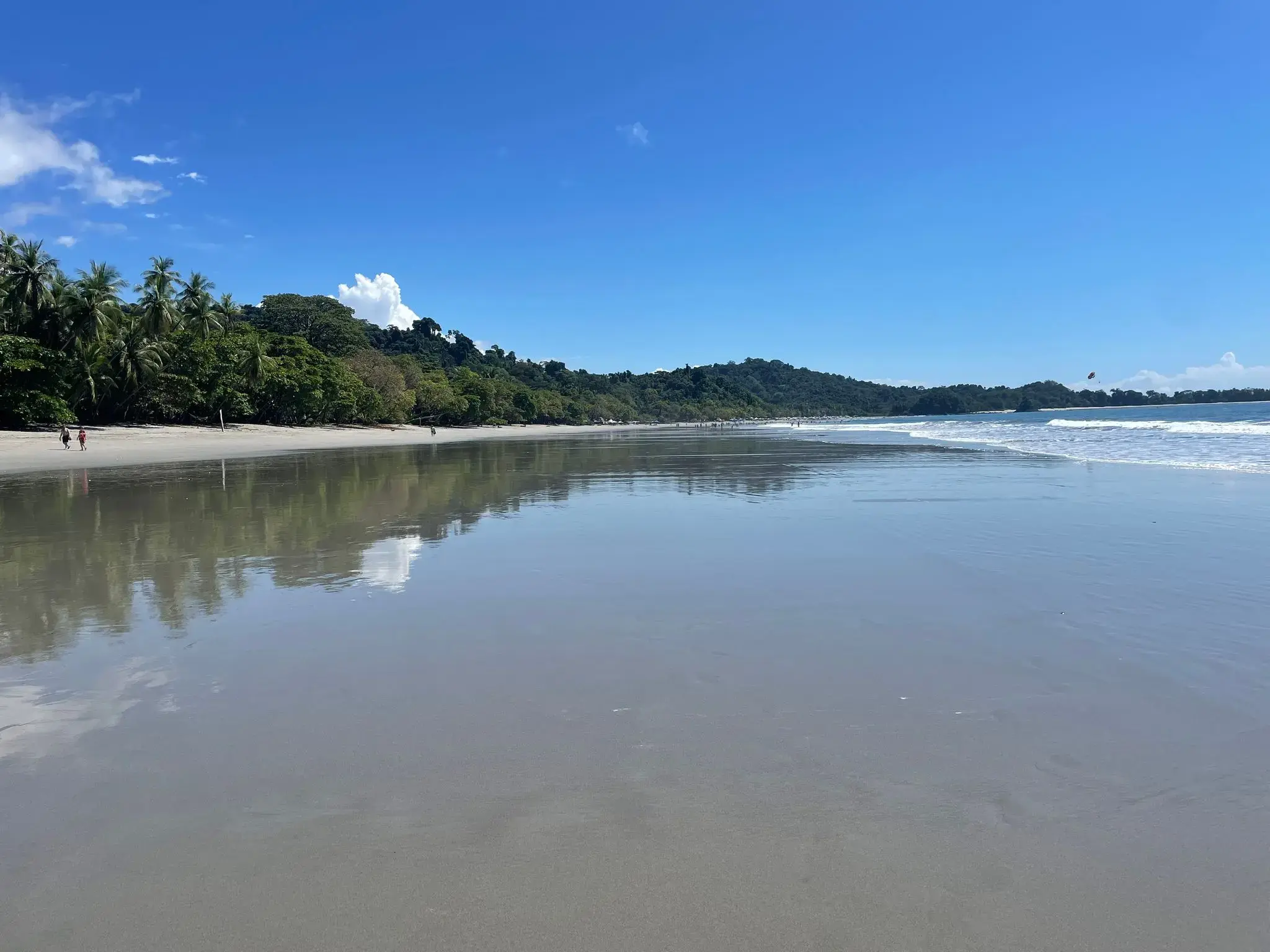 Wide sandy beach with wet reflective sand and tree-covered hills at Manuel Antonio Beach, Manuel Antonio, Costa Rica.