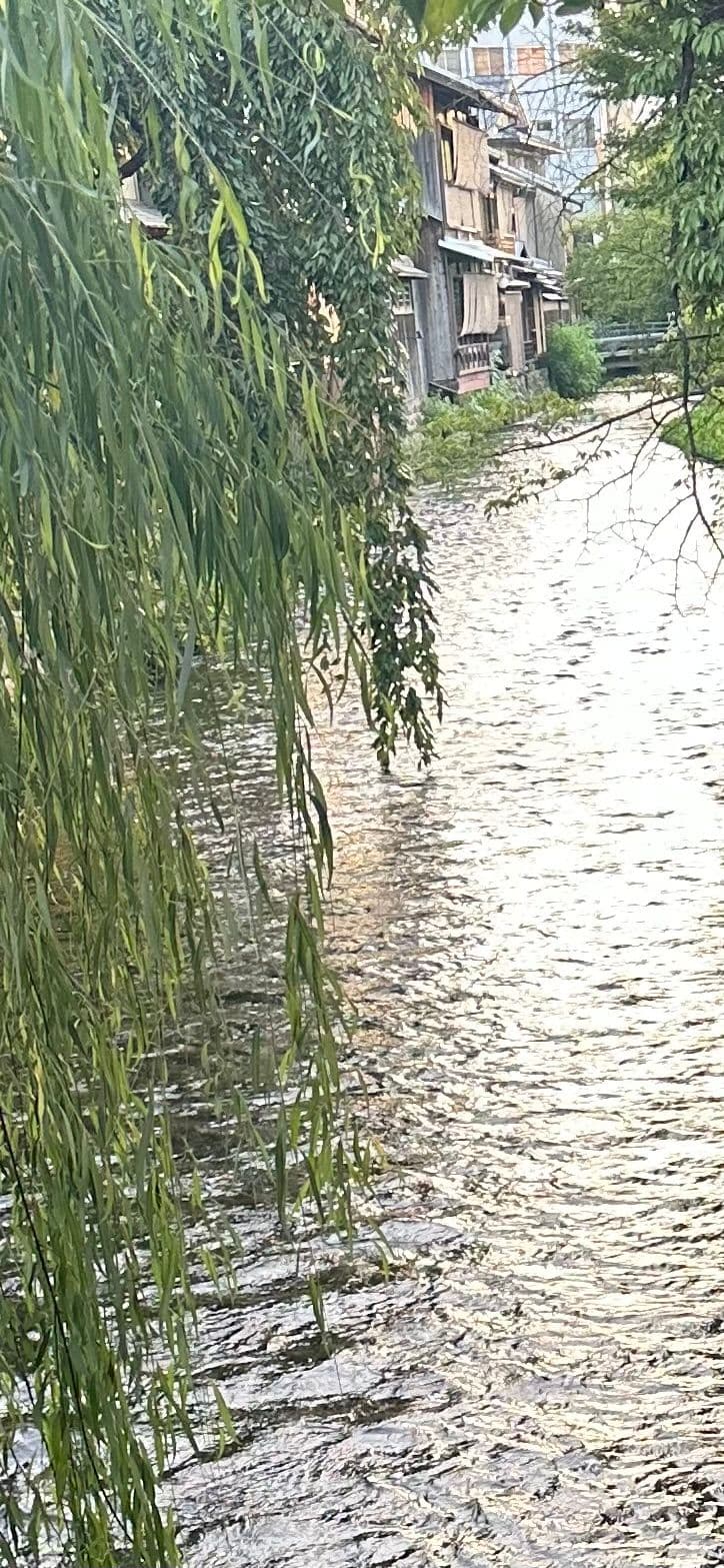 UGC content by Barbara