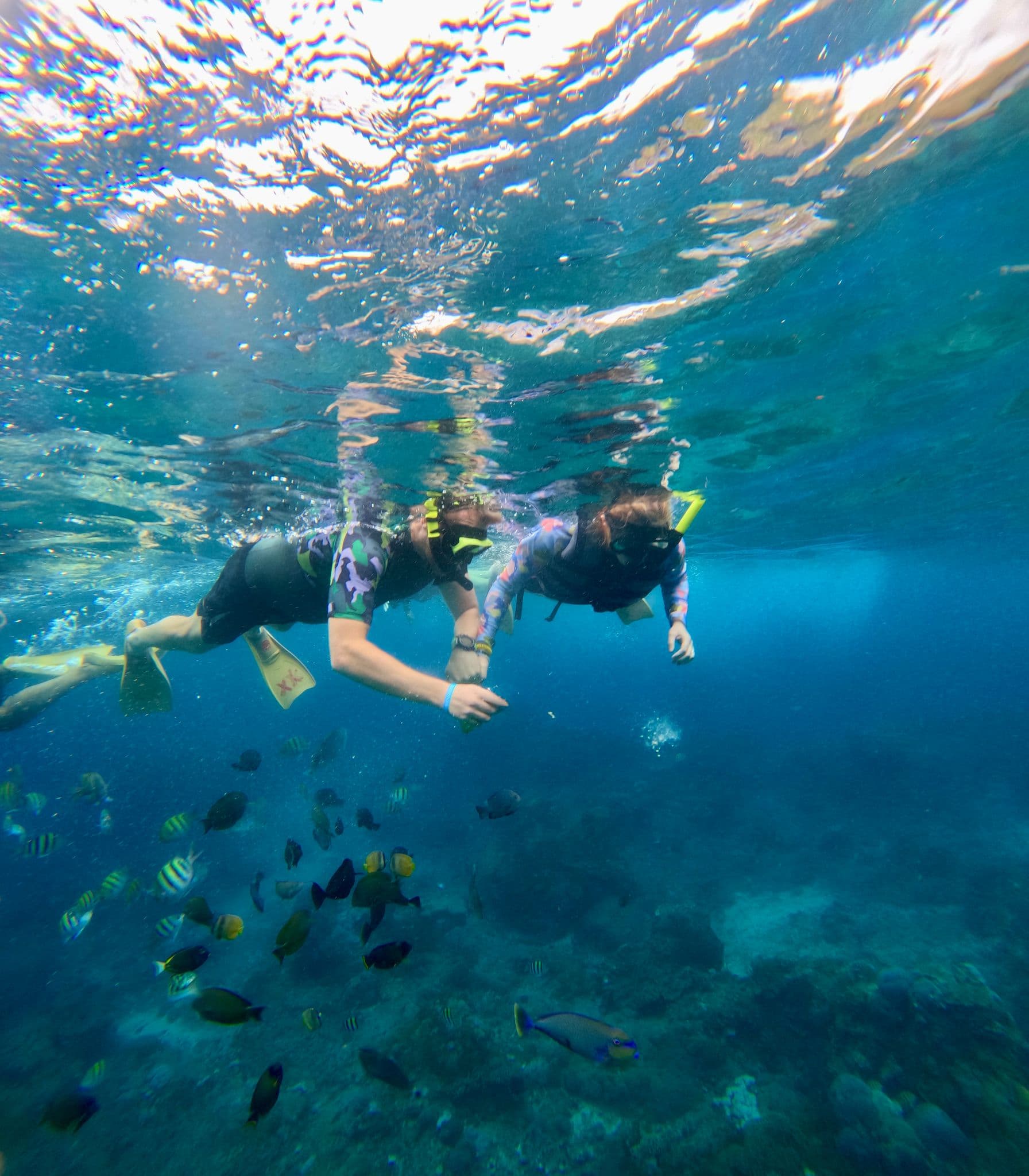 Two snorkelers swimming near the surface above a coral reef as colorful tropical fish gather, Flores, Indonesia.