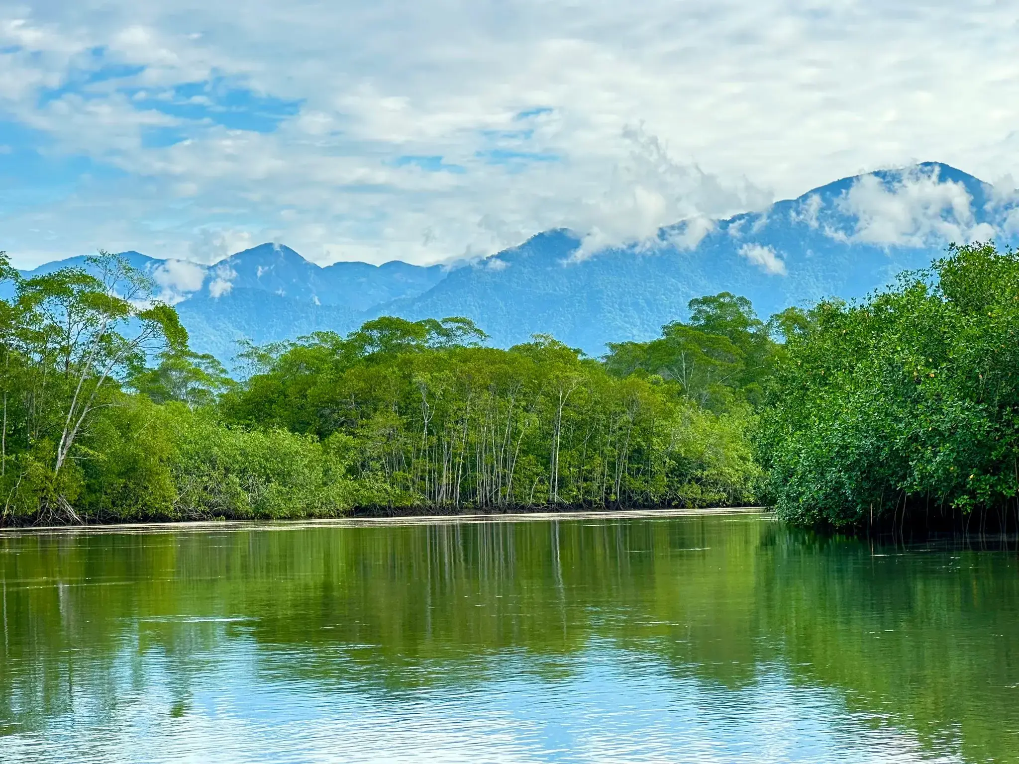 Mangrove-lined estuary reflecting green trees with mountains beyond at Isla Damas, Manuel Antonio, Costa Rica.