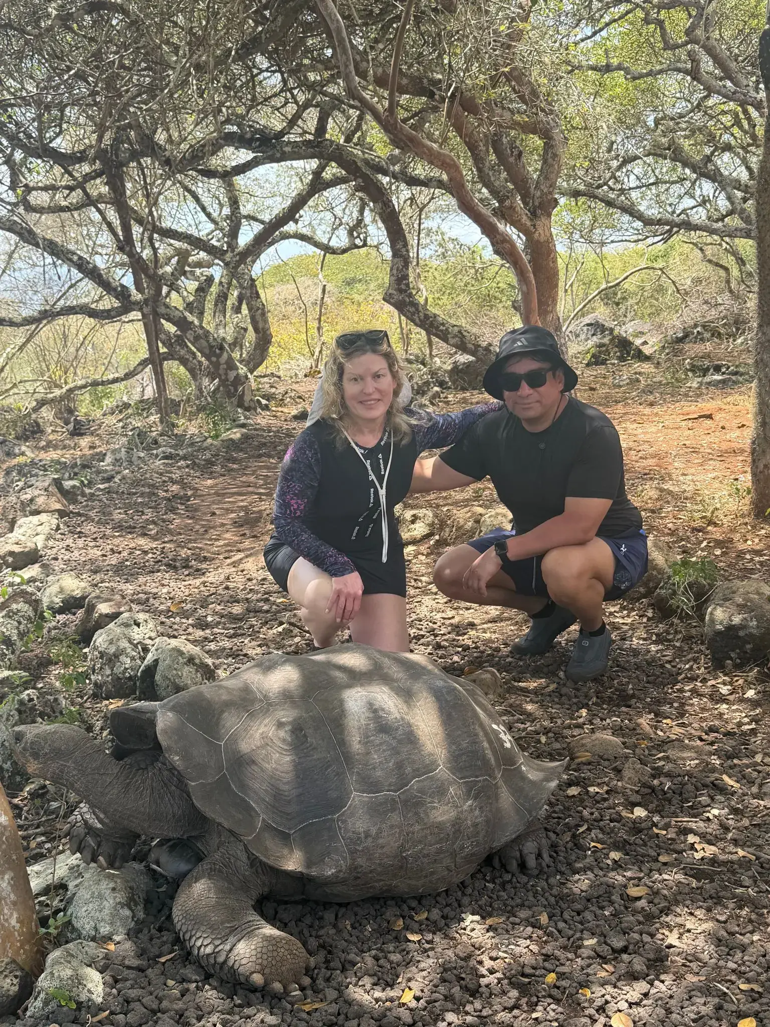 Galápagos giant tortoise resting on rocky ground with two travelers crouched behind it under twisted trees, Galápagos Islands, Ecuador.