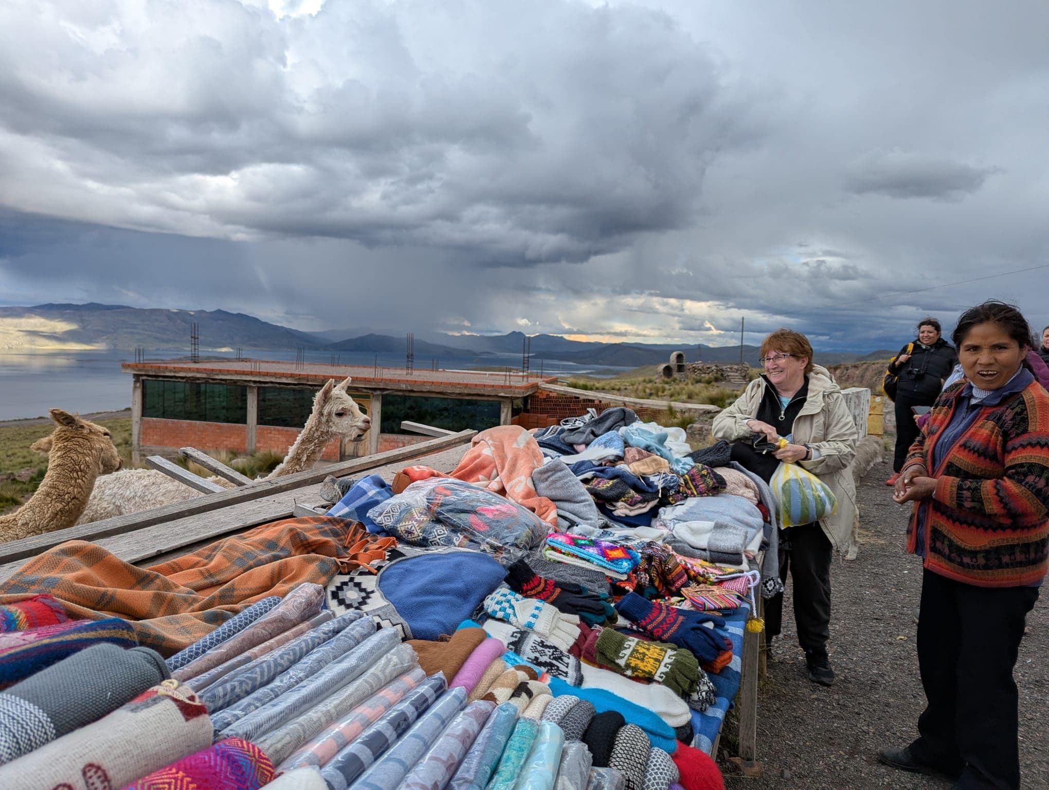 Alpacas peeking over a stall of colorful handwoven textiles at a roadside market by Lake Titicaca, Puno region, Peru.