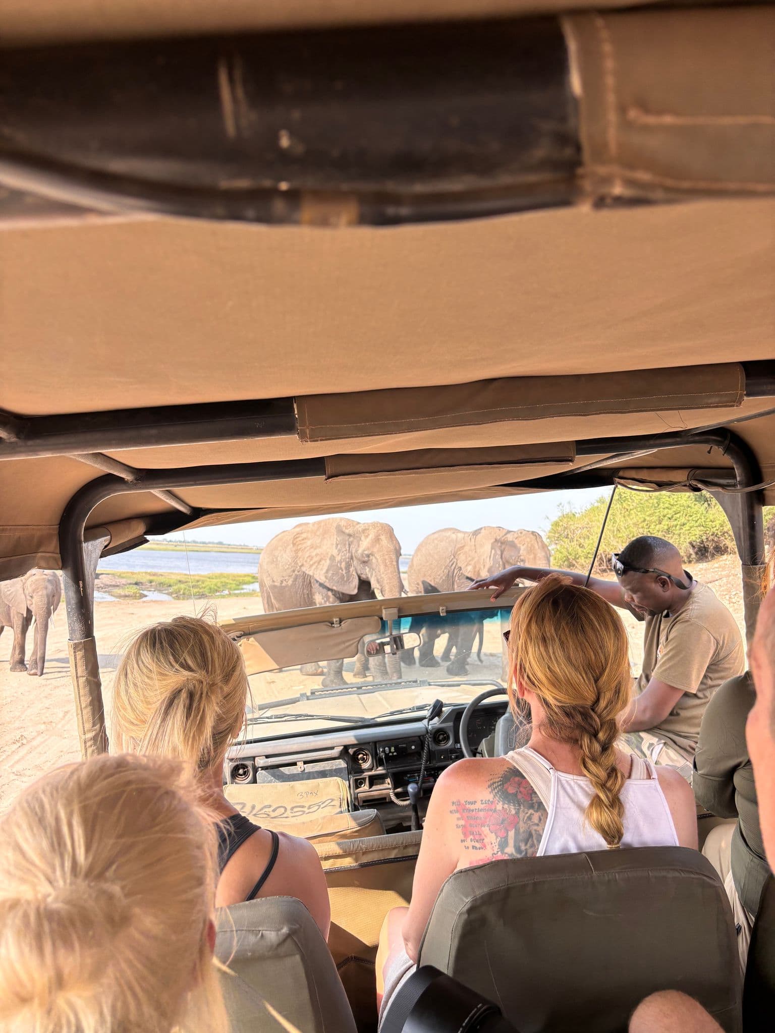 A group of elephants standing near a safari vehicle as travelers watch from inside the truck at Chobe National Park, Botswana.
