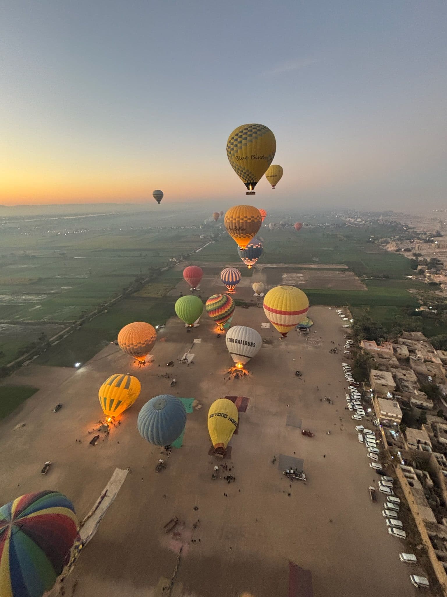 Colorful hot air balloons rising over the Valley of the Kings near Luxor, Egypt at sunrise above a launch field.