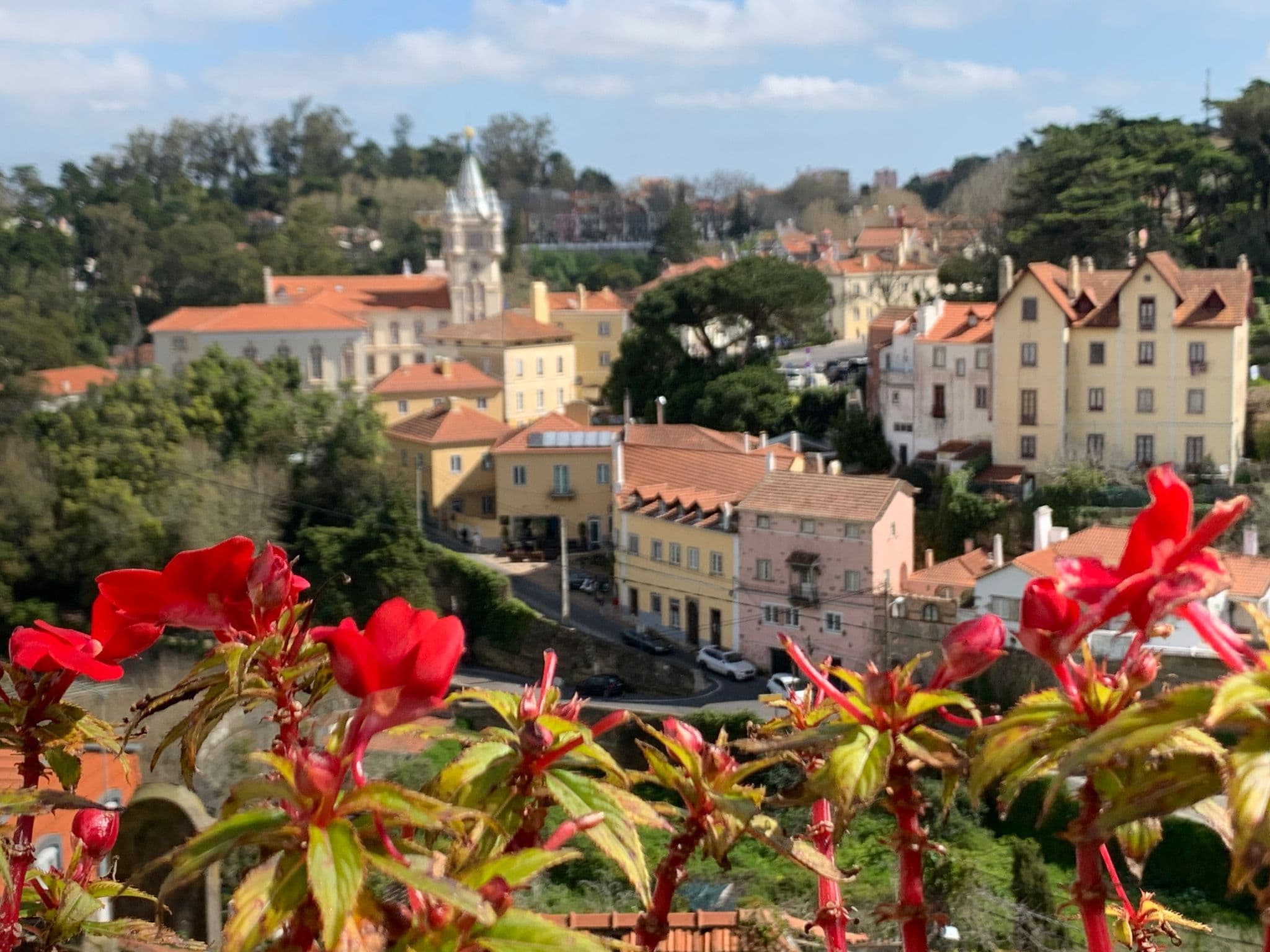 Red flowers in a windowbox framing Castelo de São Jorge and terracotta-roofed houses in Lisbon, Portugal.
