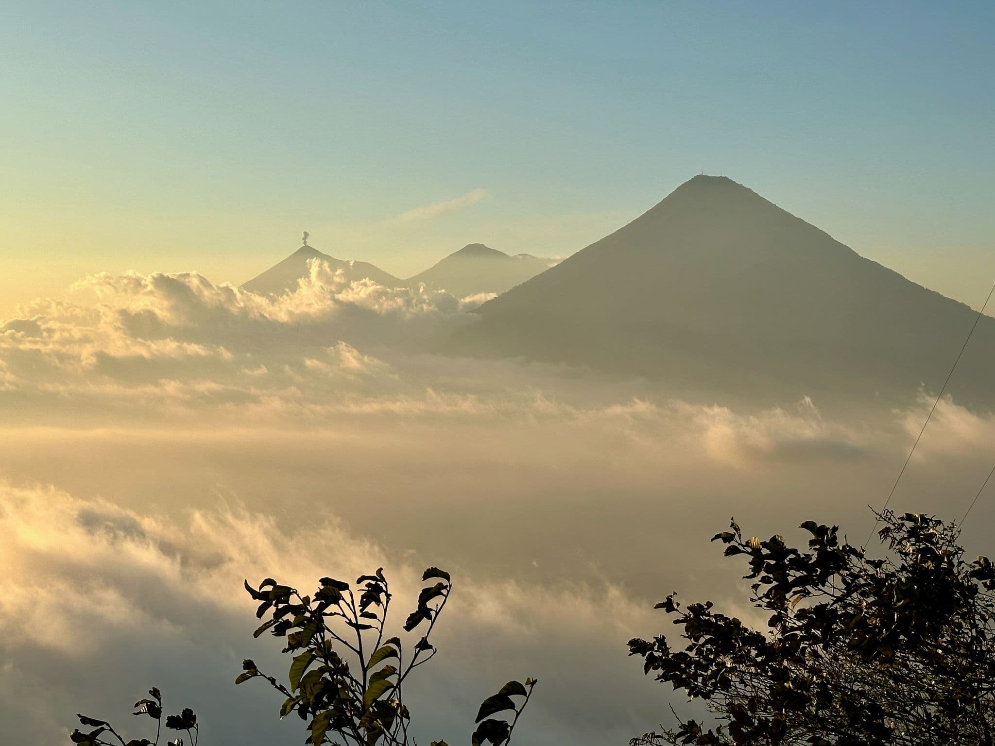 Volcán de Agua and Volcán de Fuego rising above a sea of clouds near Antigua, Guatemala, with plants in the foreground.