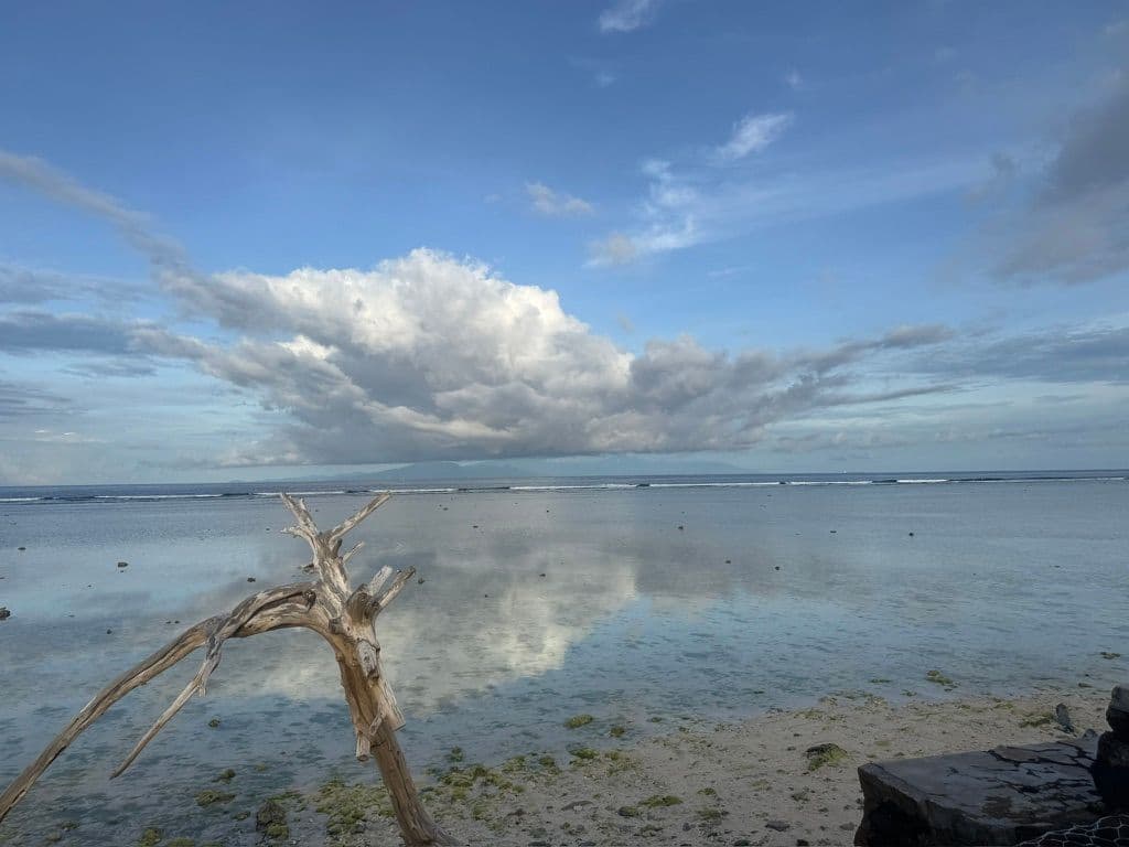 Weathered driftwood on a shallow reef with a large cloud reflected over the calm sea, coastal scene in Indonesia.
