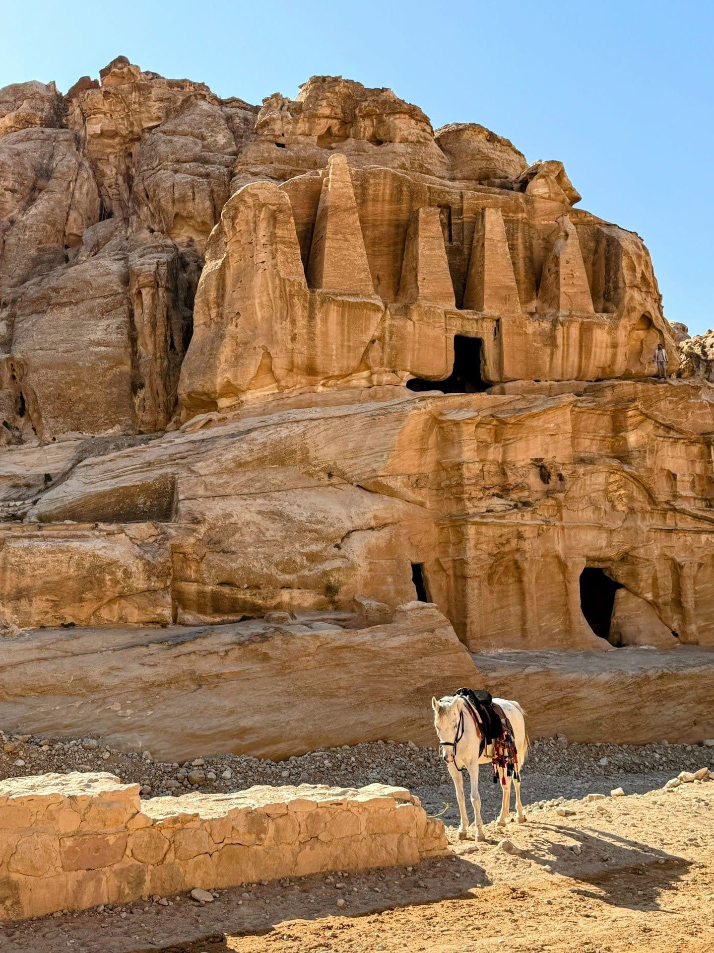 Petra rock-cut tomb facades with a saddled white horse standing in front on a dusty trail, Petra, Jordan.