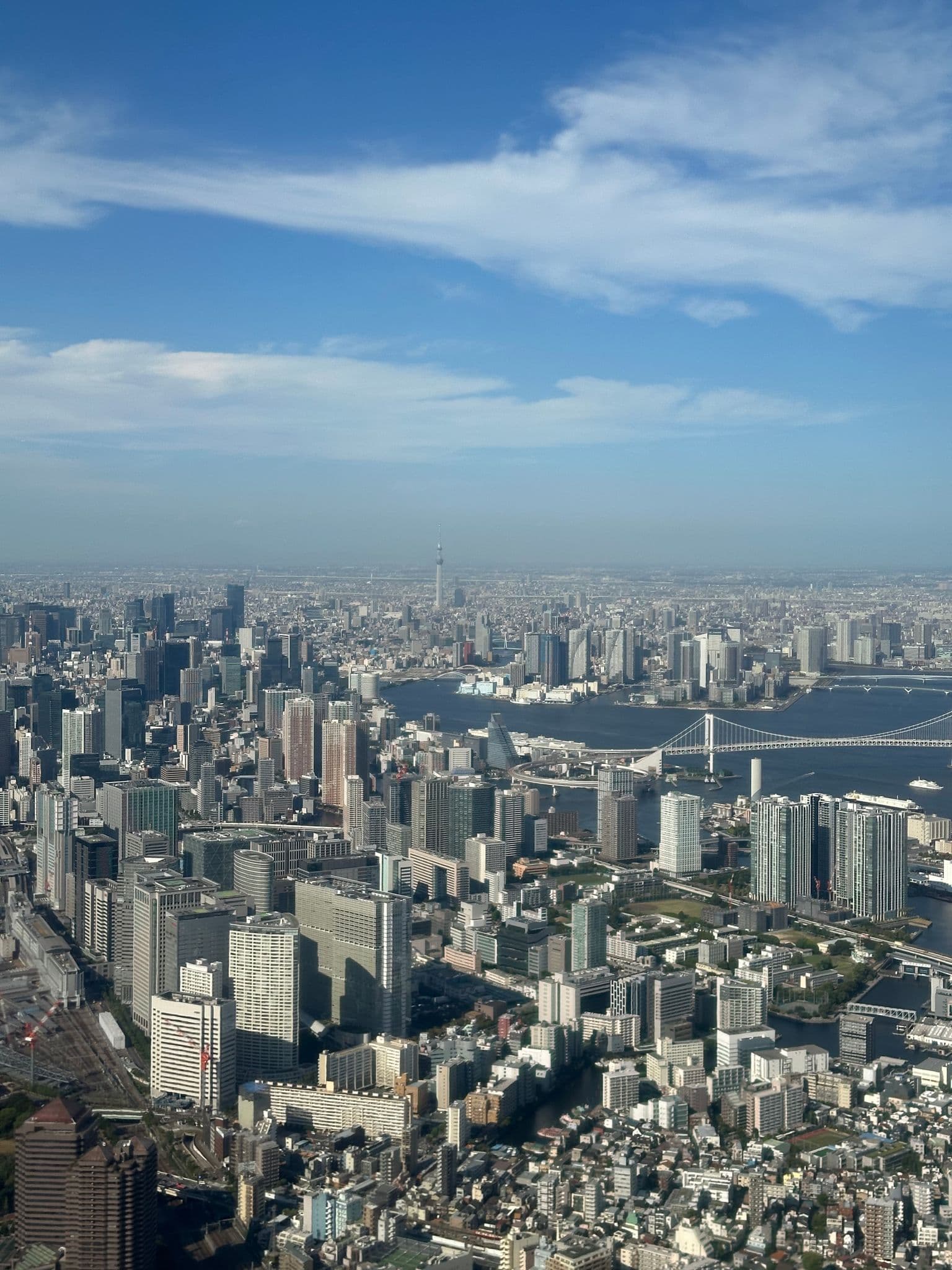 Tokyo Skytree and Rainbow Bridge rising above Tokyo Bay, city high-rises and waterways seen from a plane on arrival, Tokyo, Japan.