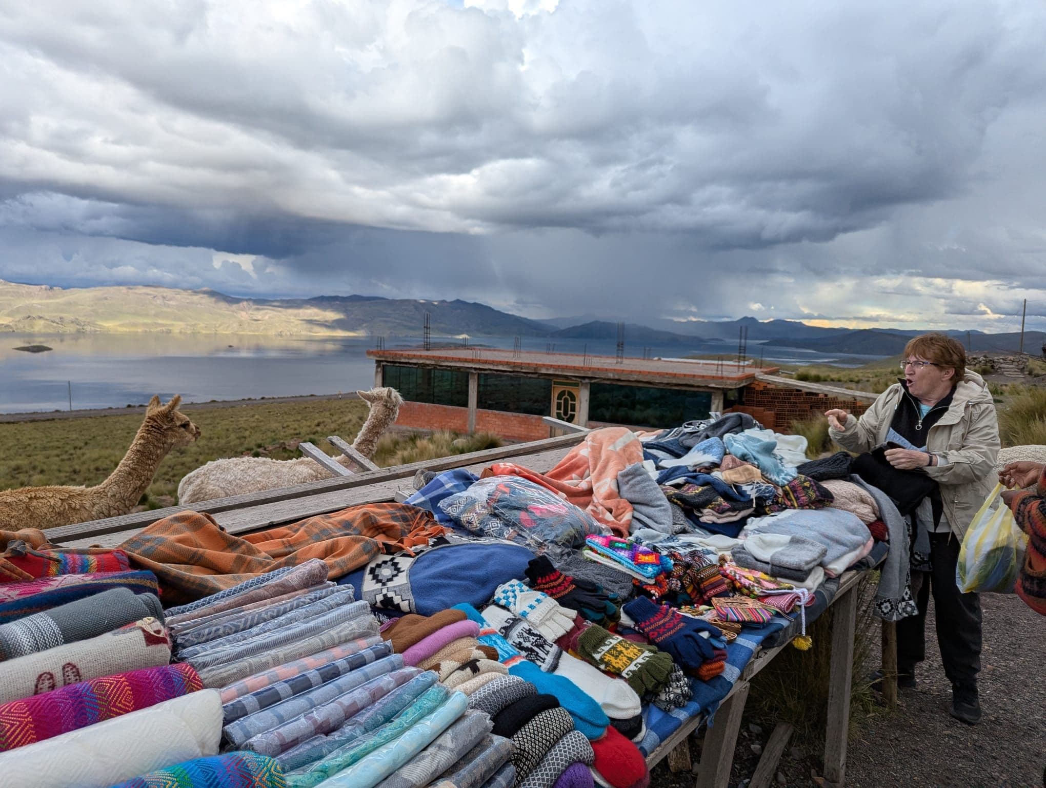 Two alpacas beside a market table of alpaca sweaters and textiles with Lake Titicaca near Puno, Peru
