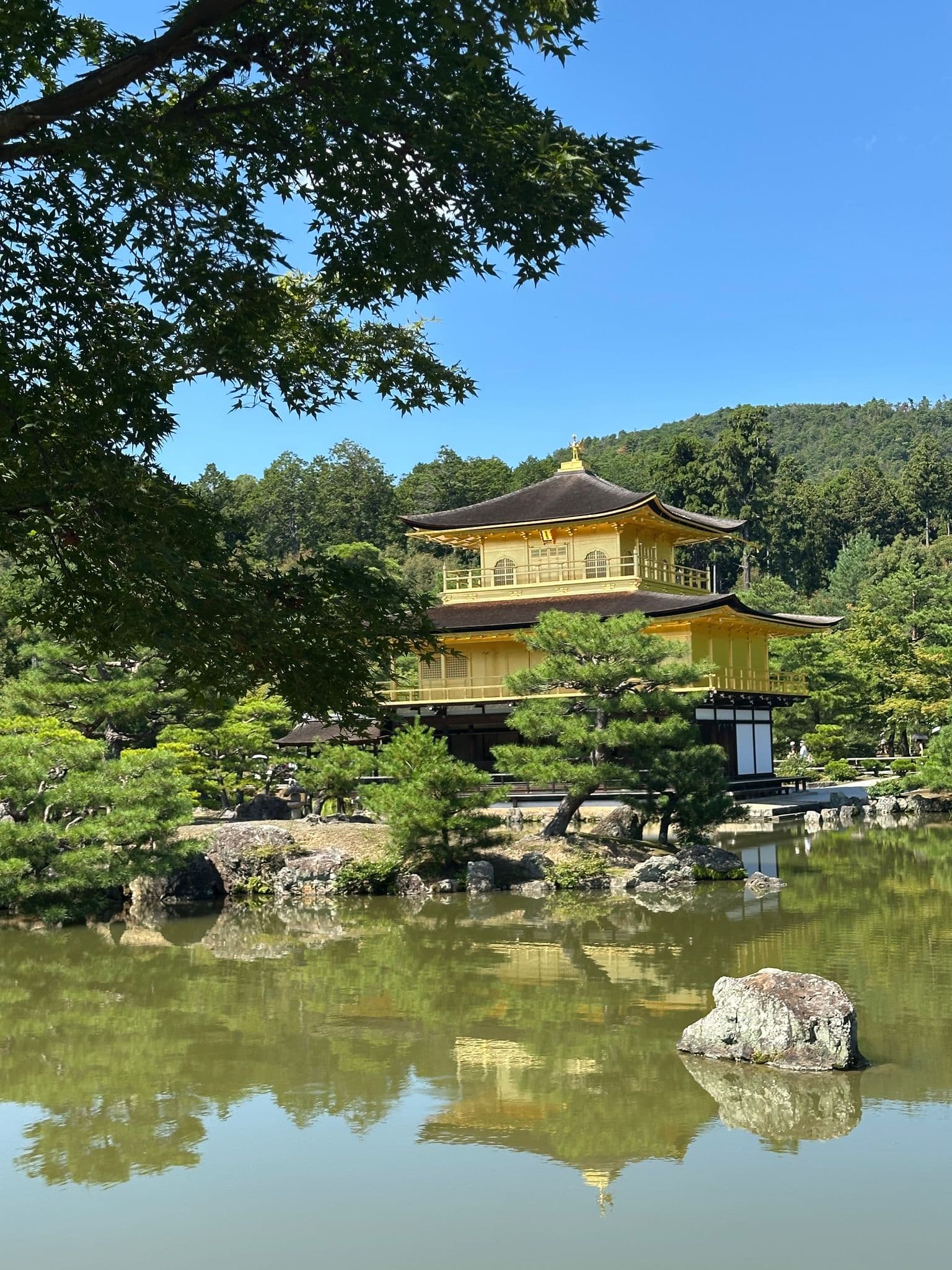 Kinkaku-ji (Golden Pavilion) reflected in a calm pond, framed by trees in Kyoto, Japan.