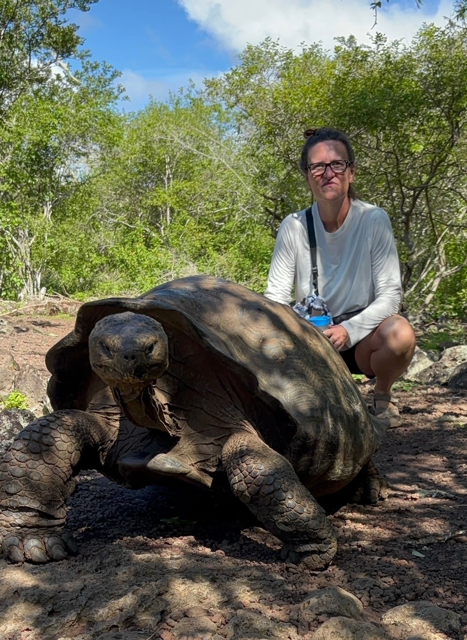 Giant Galápagos tortoise on a shaded trail with a traveler crouching nearby on the Galápagos Islands, Ecuador.