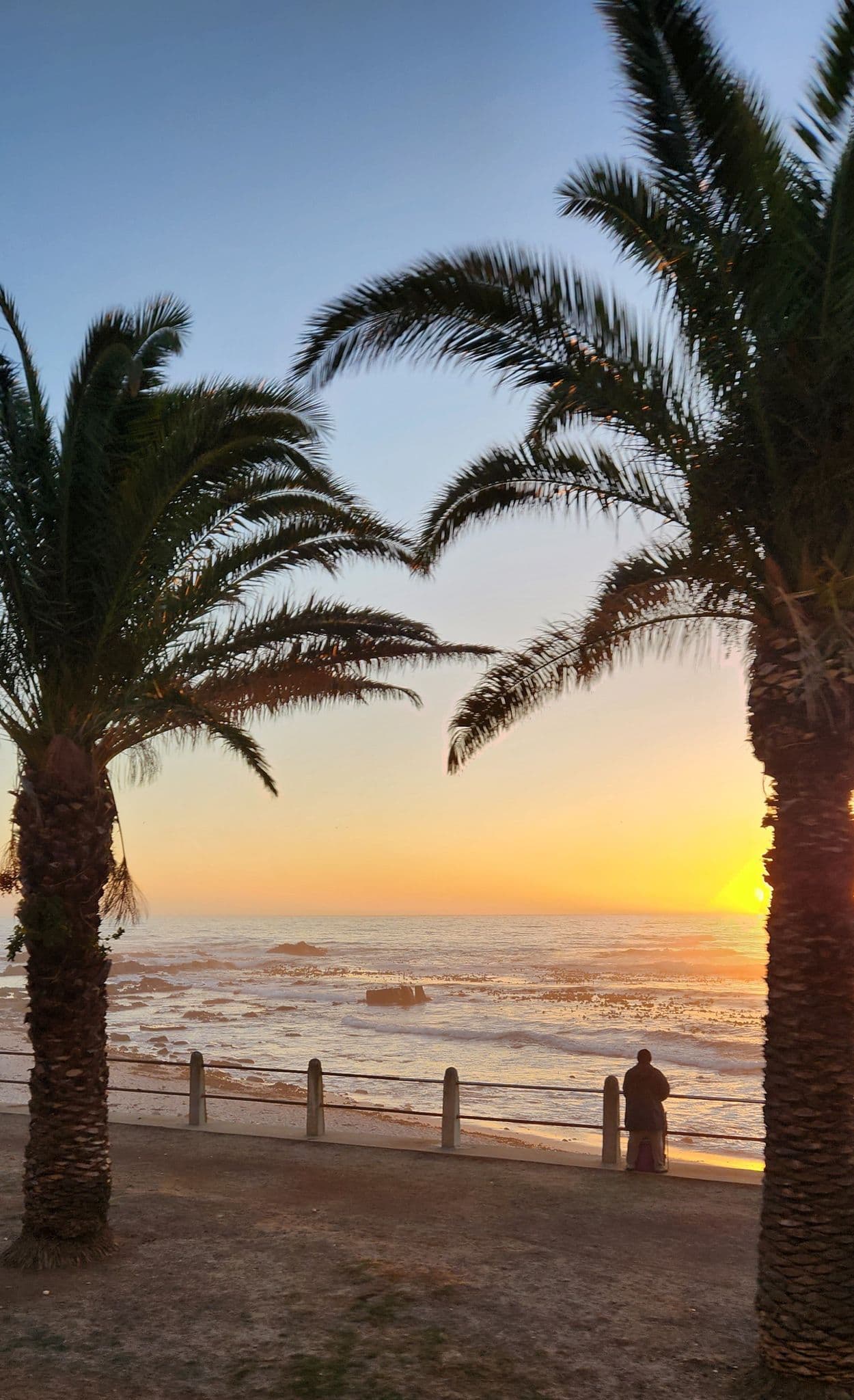 Sunset over the Atlantic Ocean framed by palm trees with a person standing on Sea Point Promenade, Cape Town, South Africa.