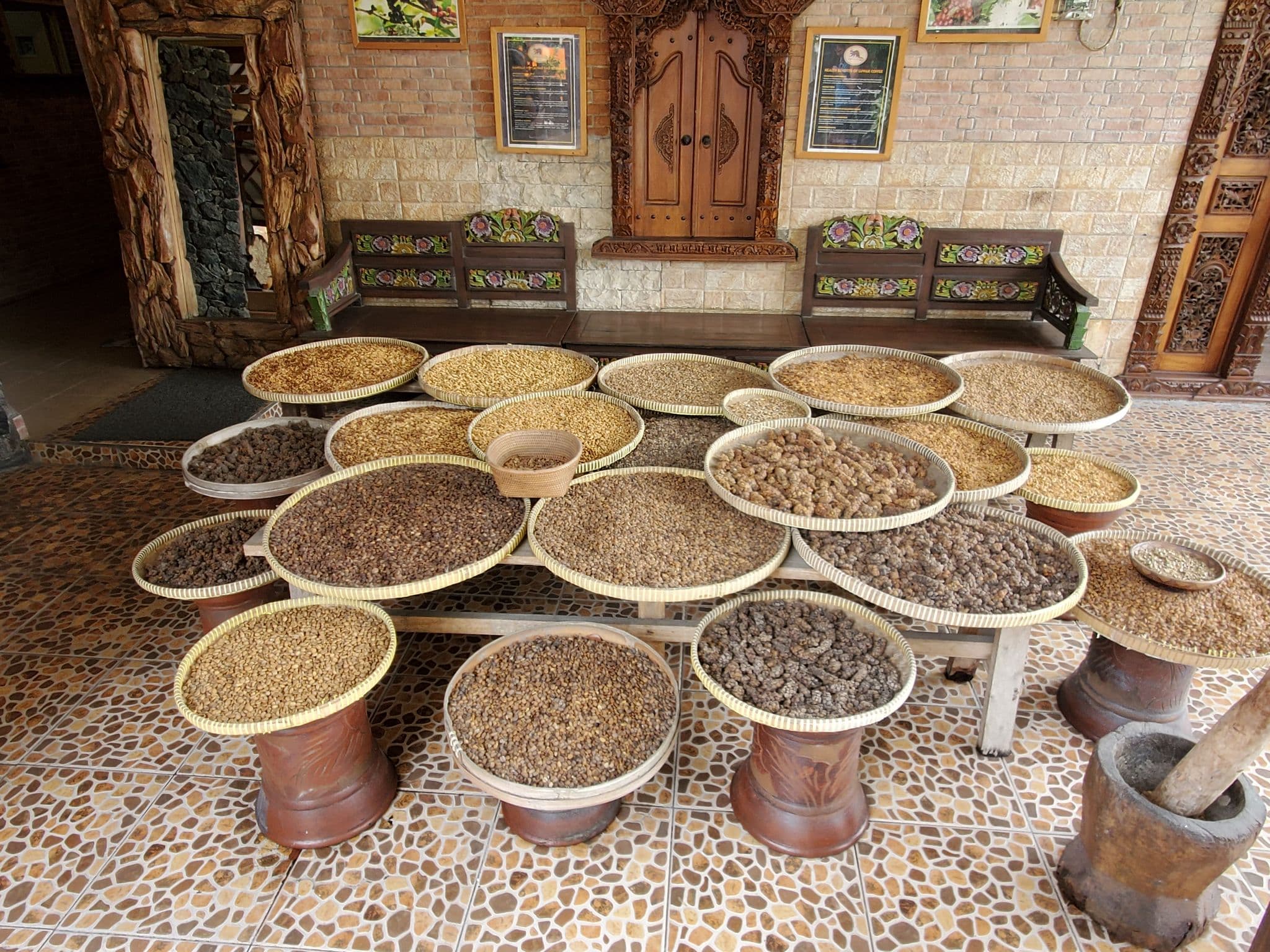 Baskets of coffee beans drying in woven trays at a Luwak coffee processing area, Indonesia.