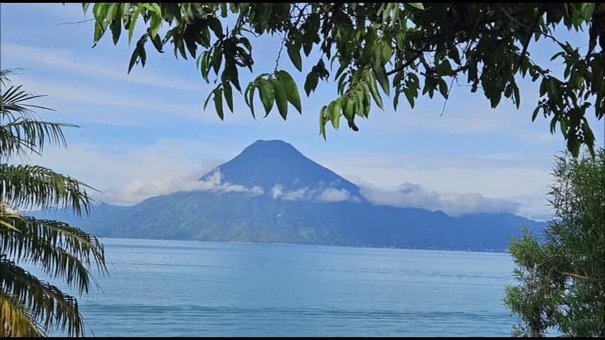 Lake Atitlán with Volcán San Pedro rising across the water, framed by palm leaves and trees, Guatemala.