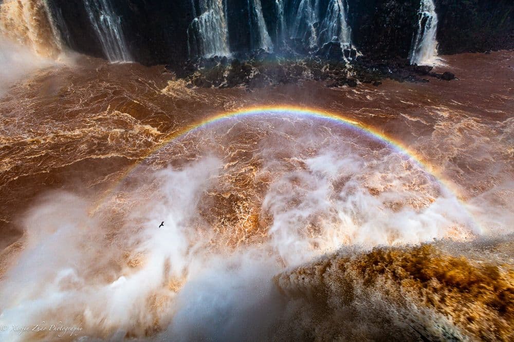 Iguazú Falls with a rainbow arching over turbulent brown water as a lone bird glides through the mist.