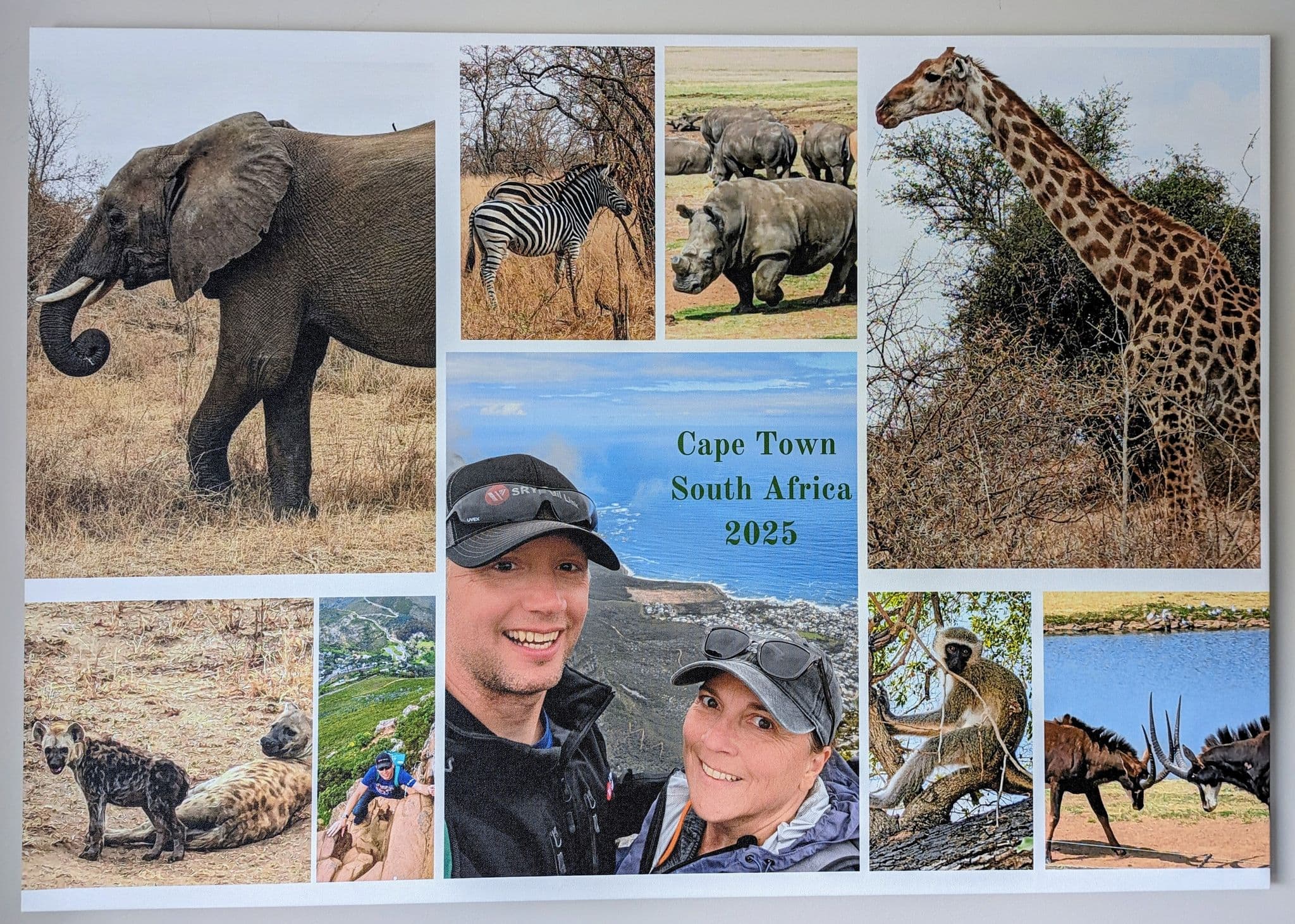 Table Mountain coastline behind two travelers taking a selfie, with printed safari animal photos in Cape Town, South Africa.