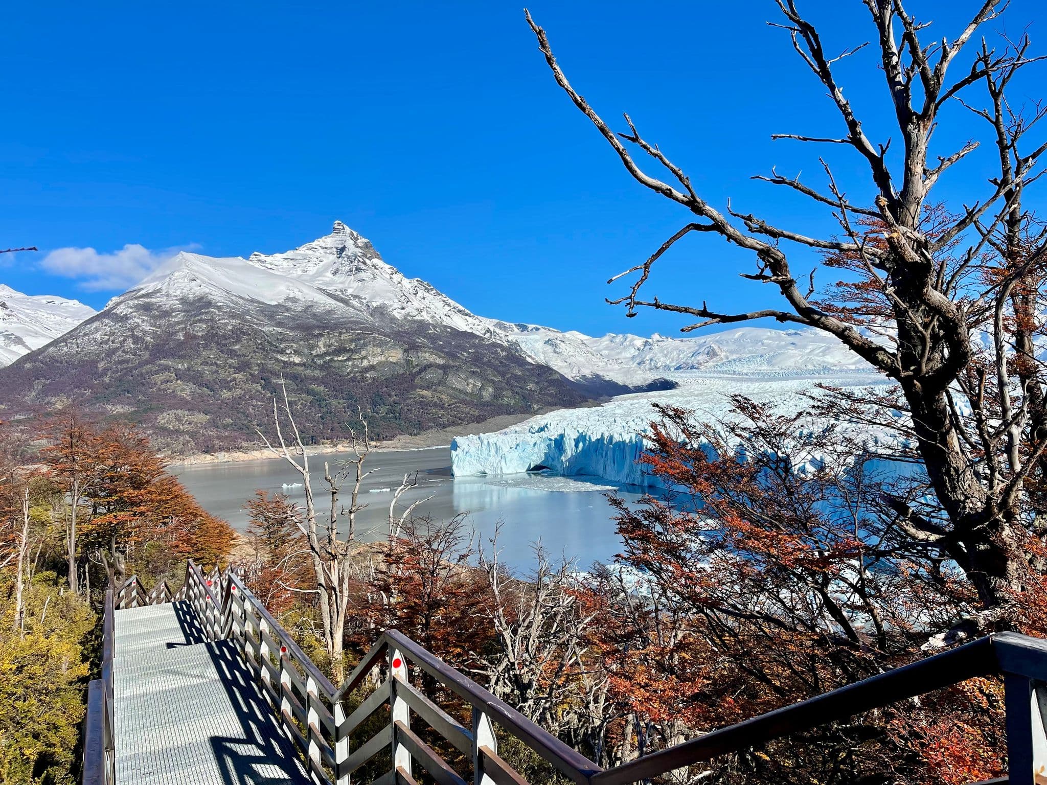 Perito Moreno Glacier filling the bay seen from a boardwalk lookout in Los Glaciares National Park, Santa Cruz, Argentina.
