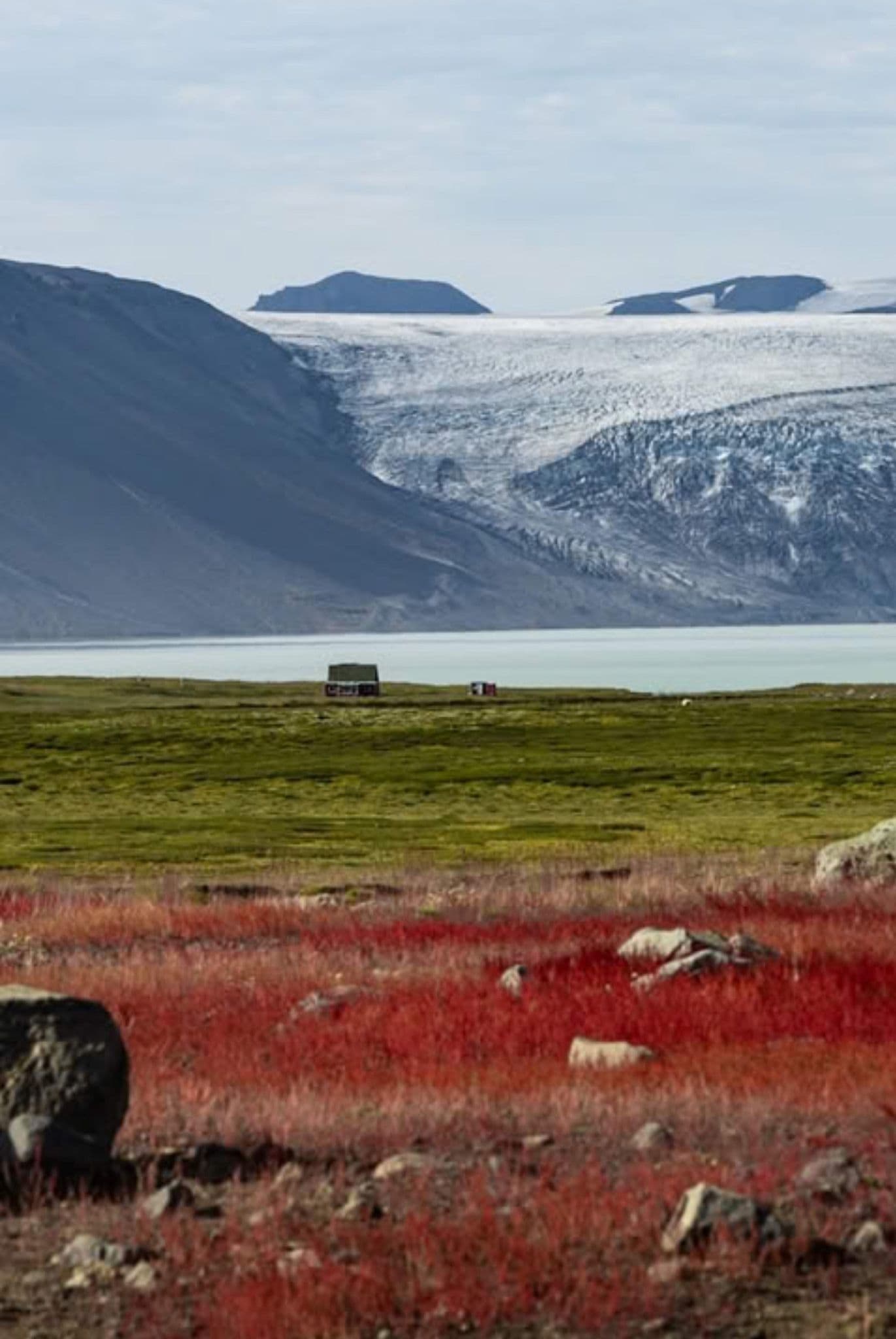 Vestrahorn mountain and glacier above a pale coastal lagoon, with green and red tundra in the foreground, Iceland.