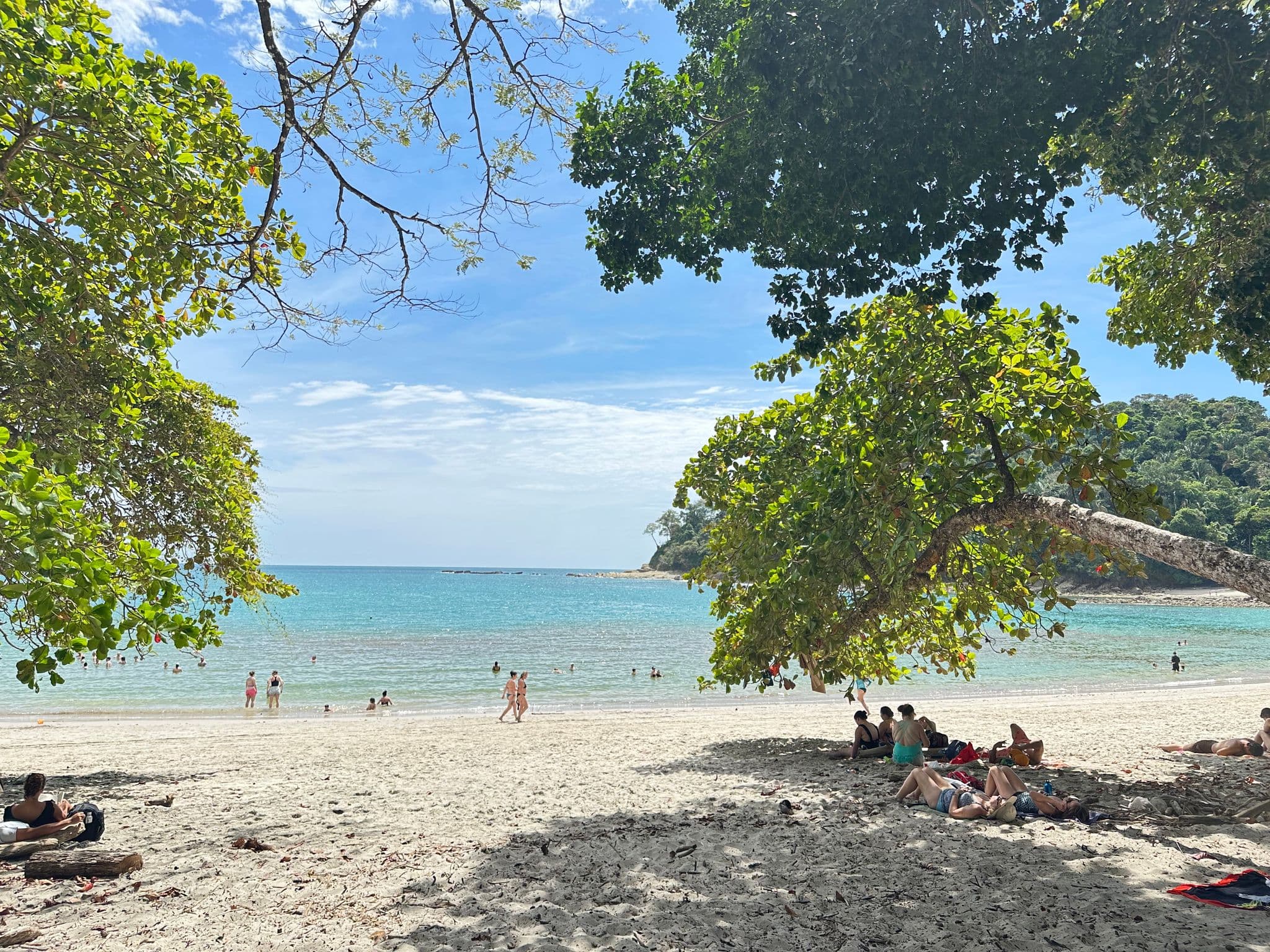 Manuel Antonio Beach with people lounging under shaded trees and swimmers in turquoise water, Manuel Antonio, Costa Rica.