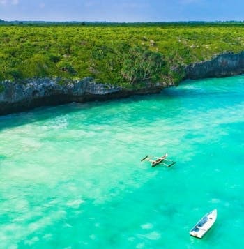 Wildlife Safari & All-Inclusive Zanzibar