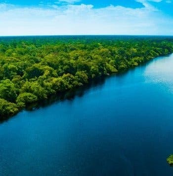 From Buenos Aires to the Amazon Rainforest