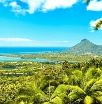 All-Inc. Getaway to the Island of Eden
