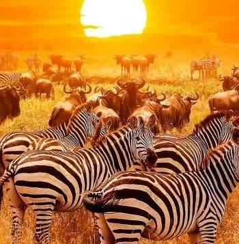 África austral y Todo incl. en el Índico