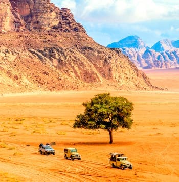 Petra, Dubái y Todo Incluido en el Edén 