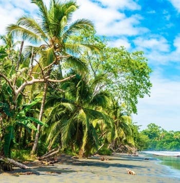Pura Vida: Entre Playas y Volcanes