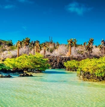Viaje de por vida a Galápagos y Amazonas