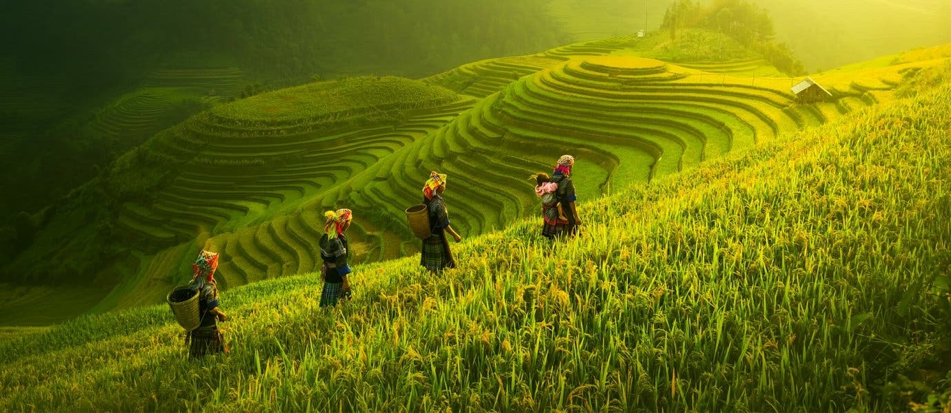 Arrozales y misterios del Mekong