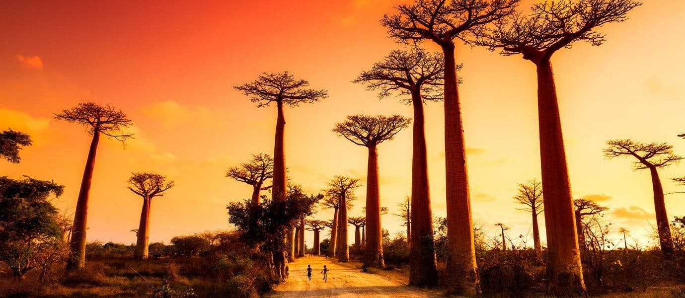 Descubre el sur de Madagascar
