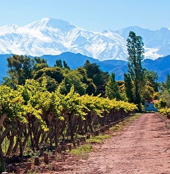 Latin Capitals & Mendoza Winelands