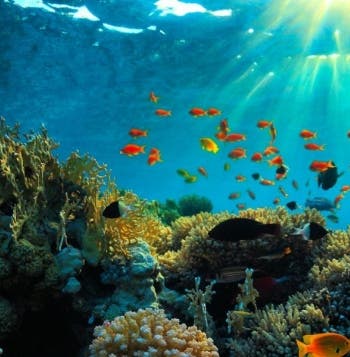 Abenteuer in Down Under