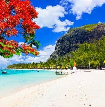 Merveilleuse Île Maurice & Tout Inclus
