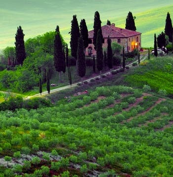 Treasures of Tuscany