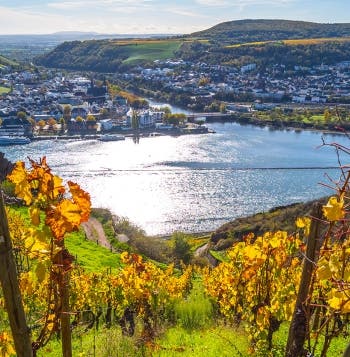 Rhine Cruise: European Riverbank Cities