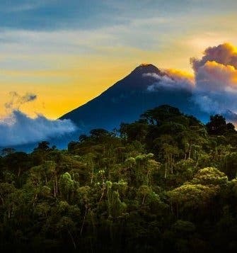 Tropical Rainforests & Beach Escape