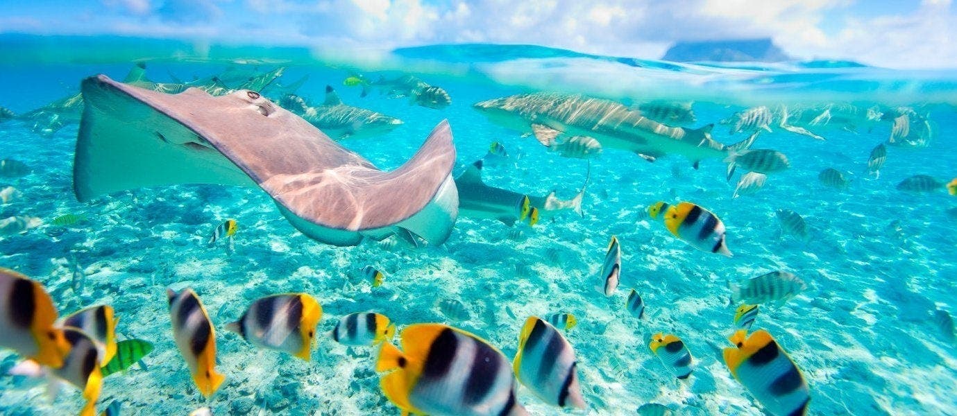 Self-Guided Nippon & Maldives Escape