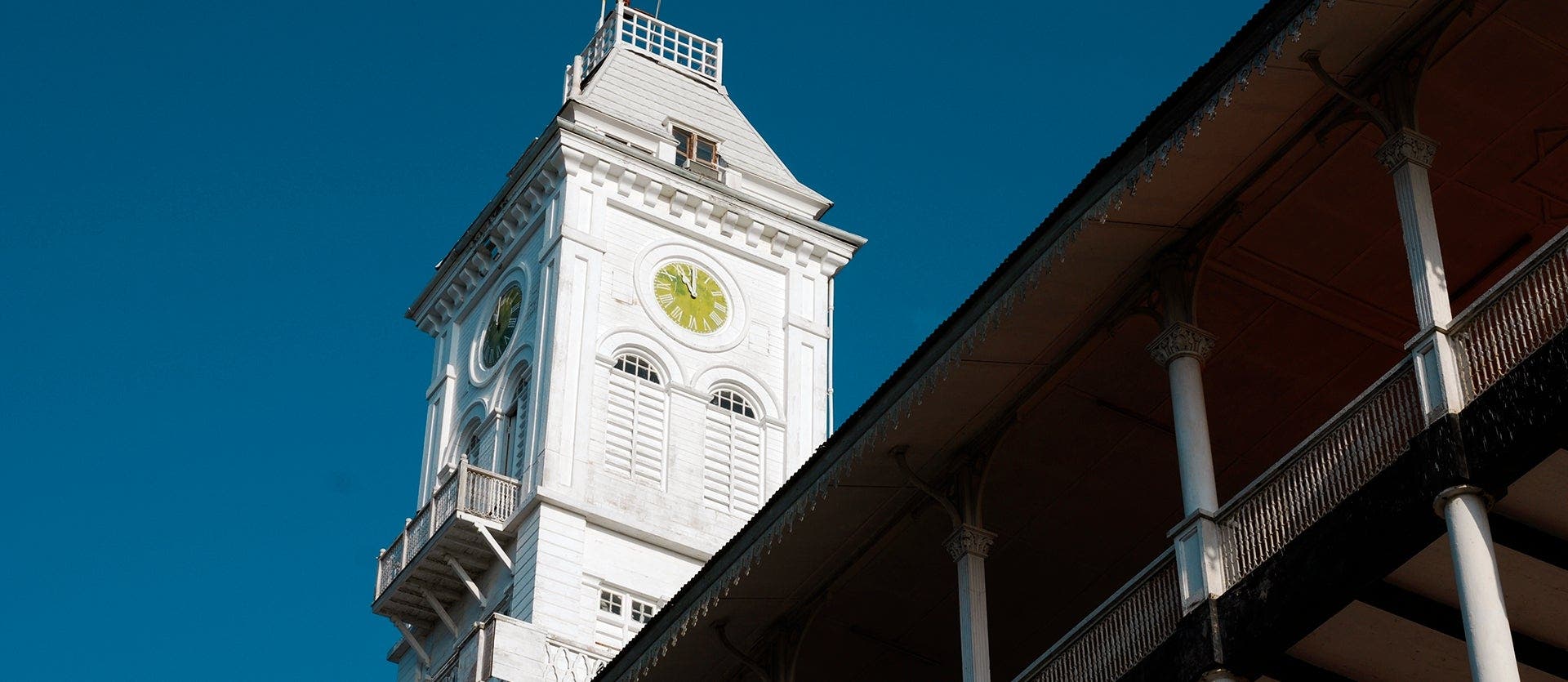 Land of the Primates & All Inc. Zanzibar