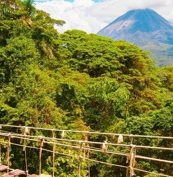 A Week In Paradise 