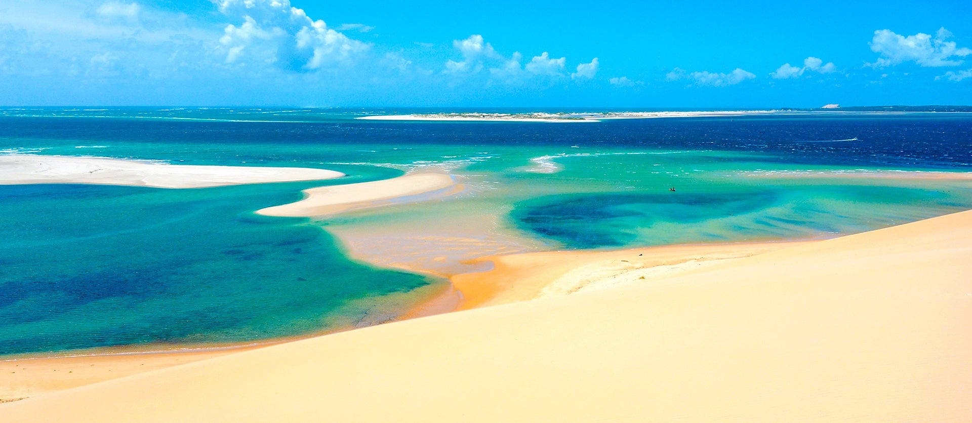 Kruger's Wildlife & Mozambique’s Beaches