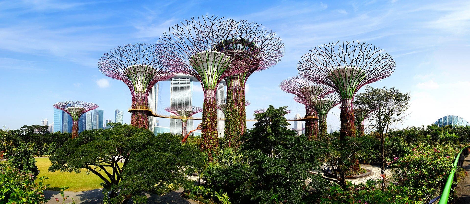 Singaporean Lights & Thai Island Delights