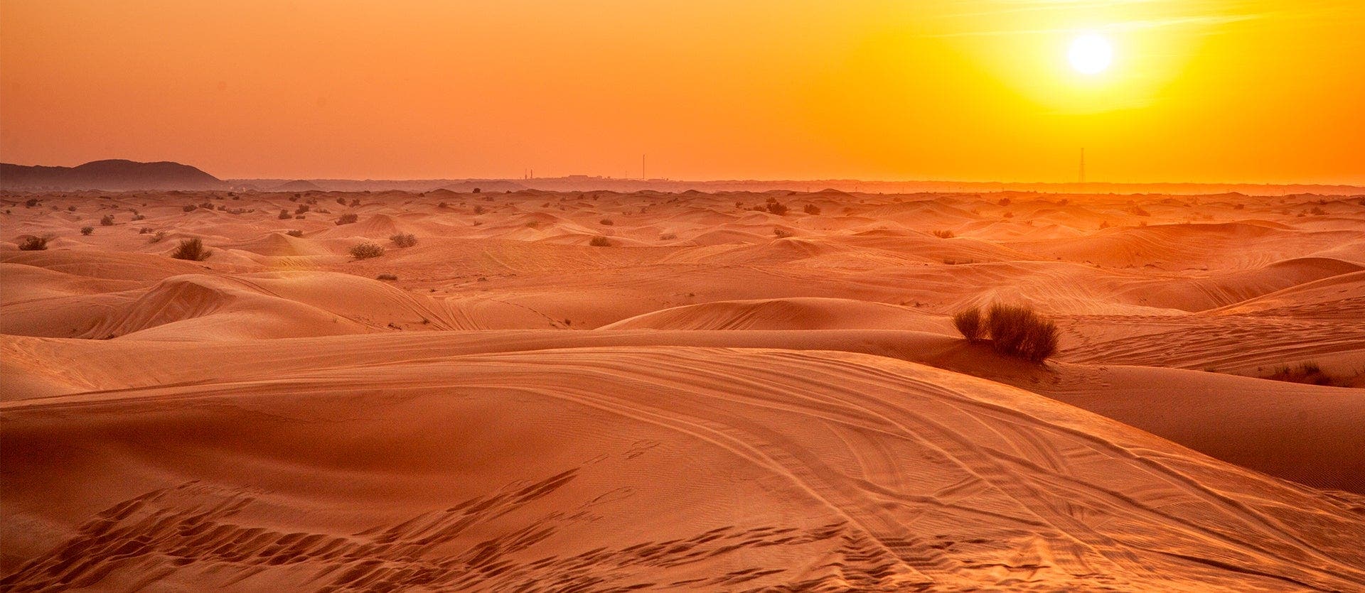 Dubai & Abu Dhabi: beauty among the dunes
