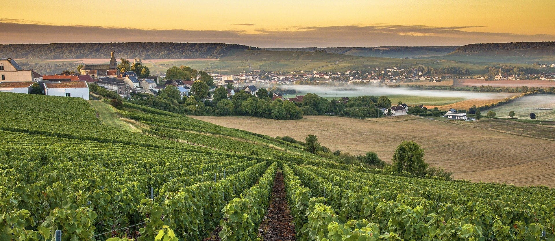 The Black Forest, Alsace & Champagne